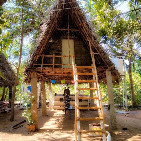 Peace Garden Hostel Auroville Ngoại thất bức ảnh