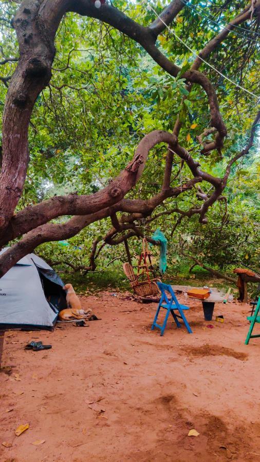Peace Garden Hostel Auroville Ngoại thất bức ảnh
