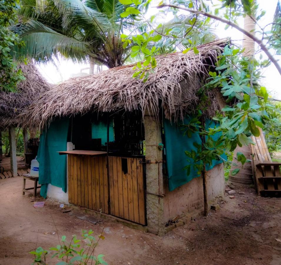 Peace Garden Hostel Auroville Ngoại thất bức ảnh