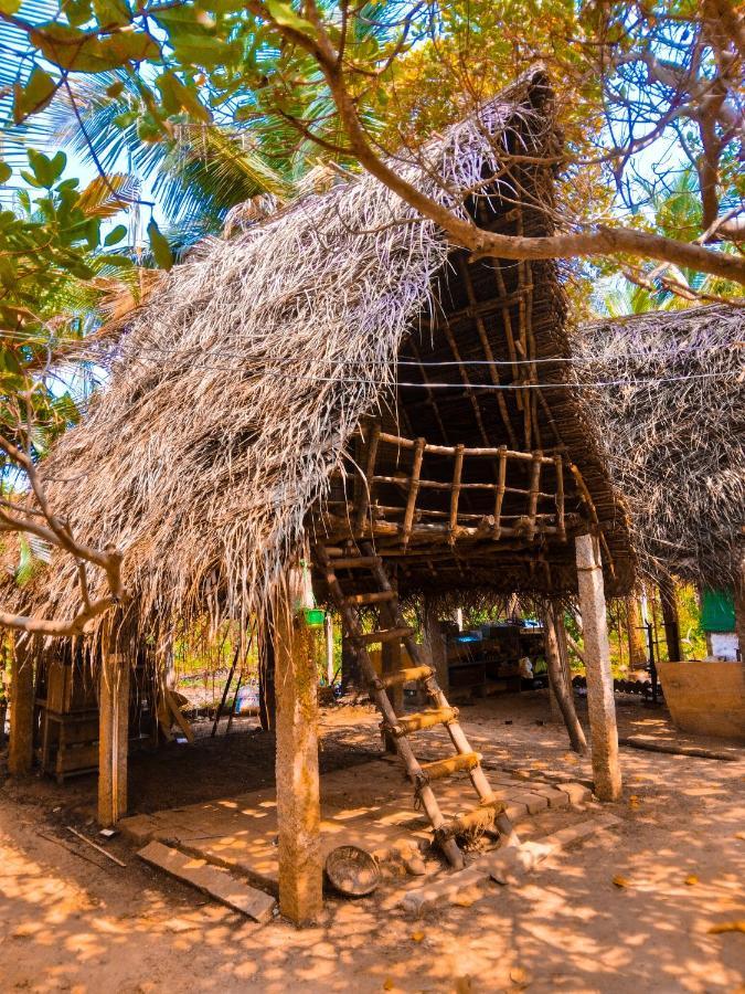 Peace Garden Hostel Auroville Ngoại thất bức ảnh