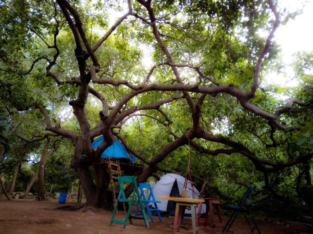 Peace Garden Hostel Auroville Ngoại thất bức ảnh