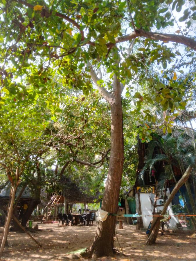 Peace Garden Hostel Auroville Ngoại thất bức ảnh